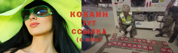 дмт Надым