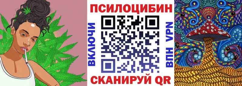 blacksprut ССЫЛКА Королёв Псилоцибиновые грибы прущие грибы купить наркотики цена